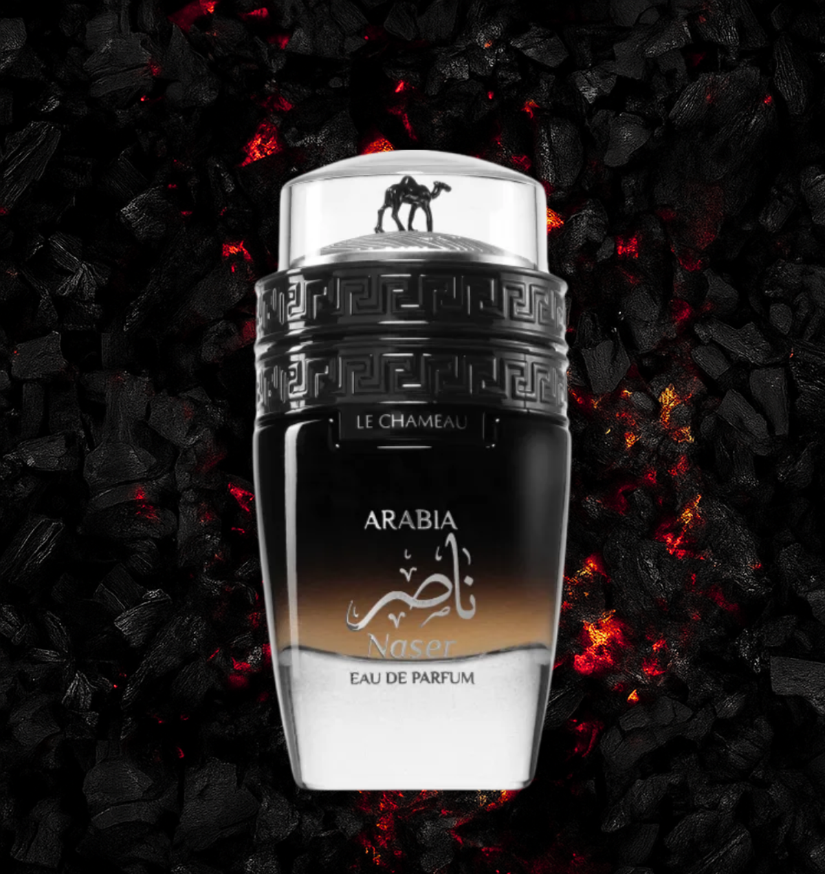 EMPER ARABIA NASER | FOR MEN | 100ML