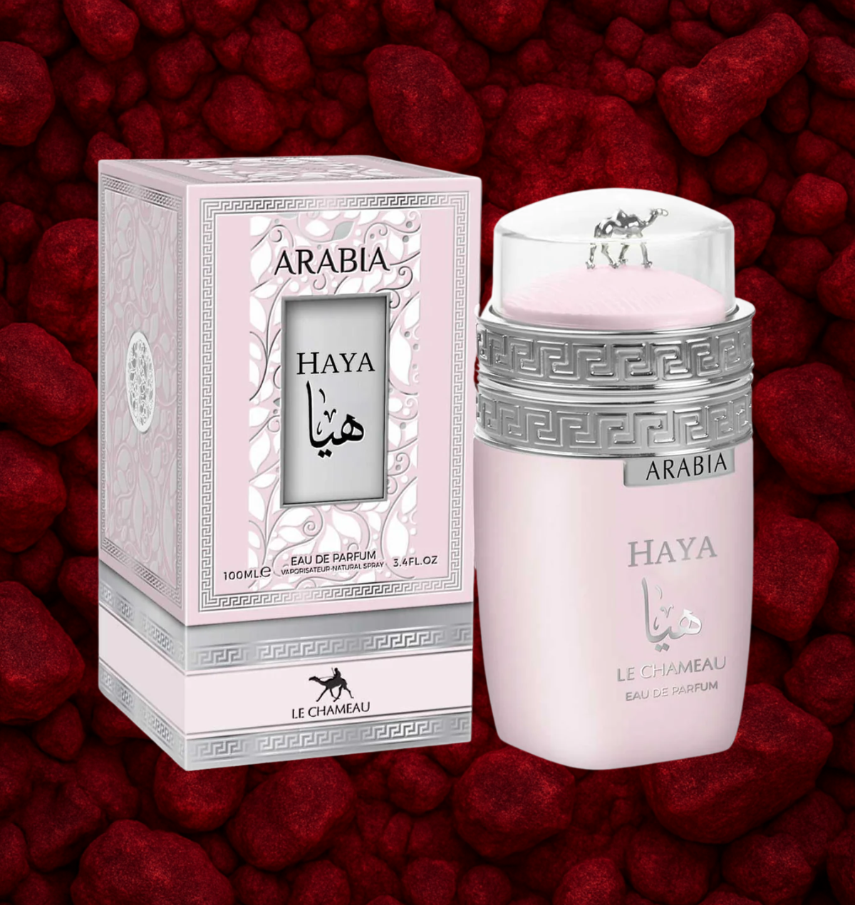 ARABIA SET HAYA | FOR WOMEN | 100ML